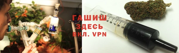 сатива Алзамай