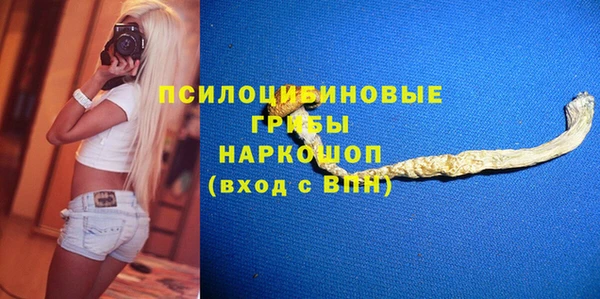 мет Алексин