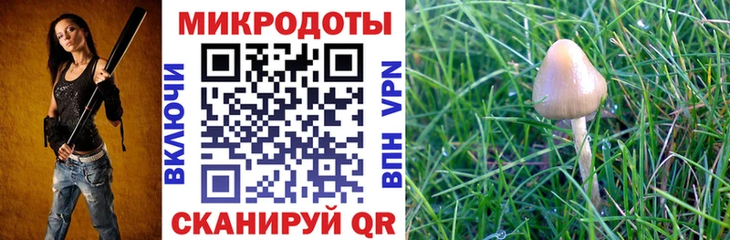 Галлюциногенные грибы мицелий  как найти наркотики  Алдан 